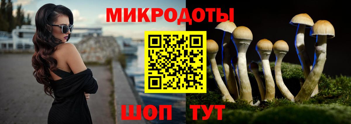 Псилоцибиновые грибы мицелий Донской